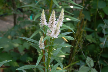 DSC08776_R