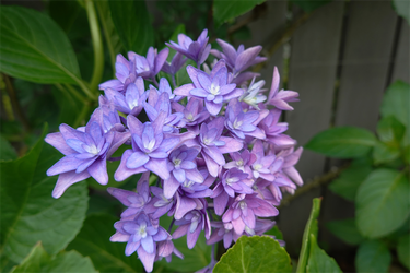 DSC08426_R