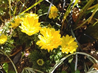 DSCF8282_R