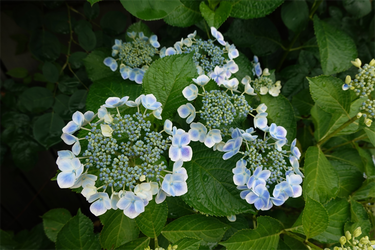 DSC08050_R