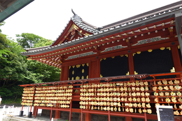 DSC07394_R