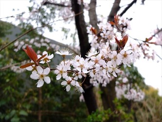 DSCF8631_R