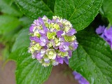 DSCF2423_R