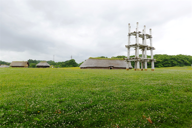DSC02395_R