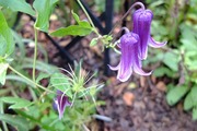 DSCF6528_R