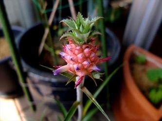 DSCF4364_R