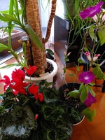 DSCF6650_R
