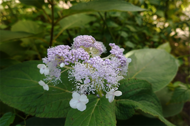 DSC07684_R