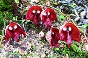 DSCF4251_R