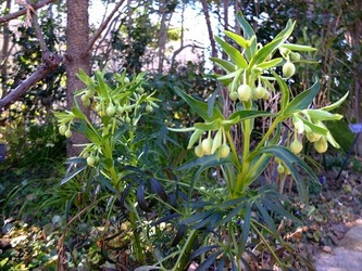 DSCF8256_R