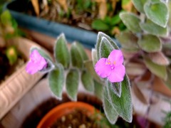 DSCF9720_R