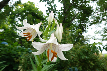 DSC08168_R