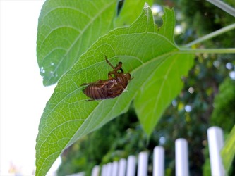 DSCF1343_R