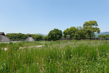 DSC07978_R
