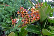 DSCF3869_R