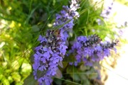 DSCF1012_R