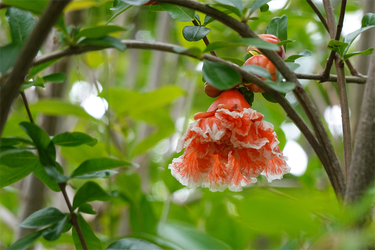 DSC08134_R