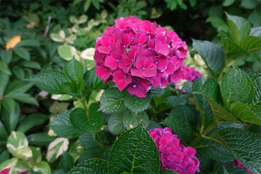 DSC08362_R