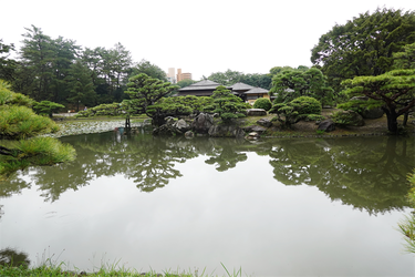 DSC09600_R