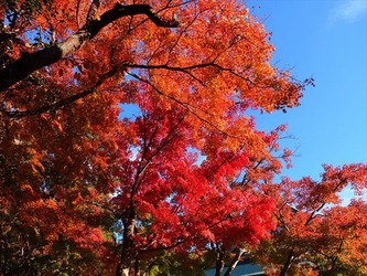 DSCF0087_R