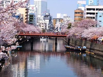 DSCF8259_R