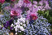 DSCF1016_R