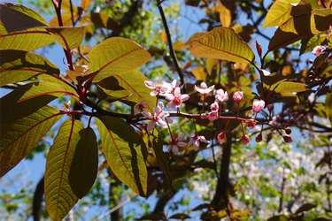 DSC06654_R