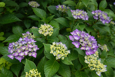 DSC08077_R