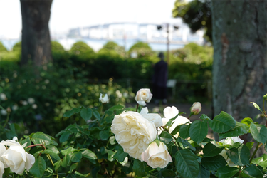 DSC07205_R