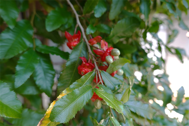 DSC06905_R