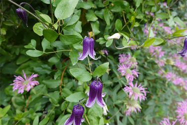DSC08743_R