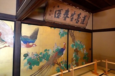 DSC02577_R