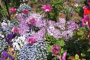 DSCF1046_R