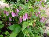 DSCF2181_R