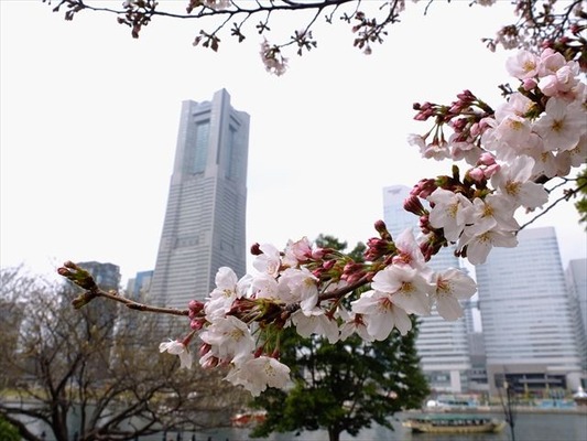 DSCF7943_R