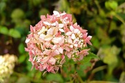 DSCF5785_R