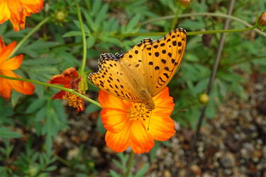 DSC09902_R