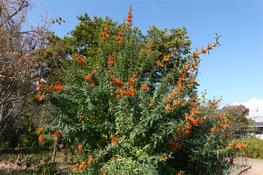 DSC03779_R