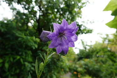 DSC08555_R