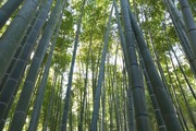 DSCF0574_R