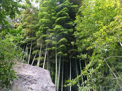 DSCF8614_R