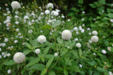 DSC09308_R