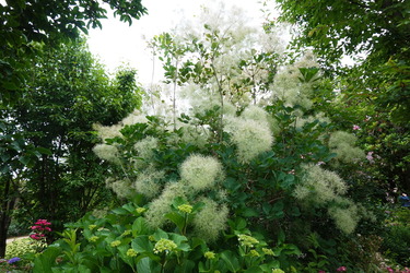 DSC08162