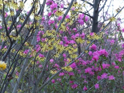 DSCF4705_R