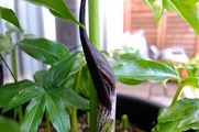DSCF1857_R