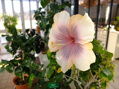 DSCF4108_R