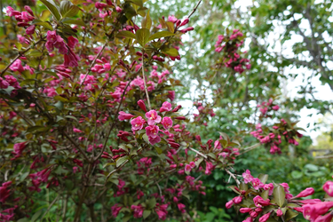 DSC06844_R