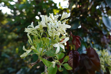 DSC06819_R