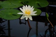 DSCF9141_R