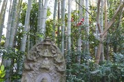 DSCF0552_R